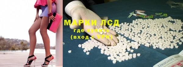spice Горняк