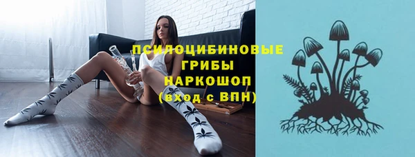 МДПВ Волосово