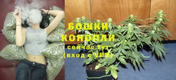 МДПВ Волосово