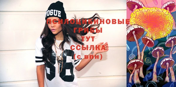 spice Горняк